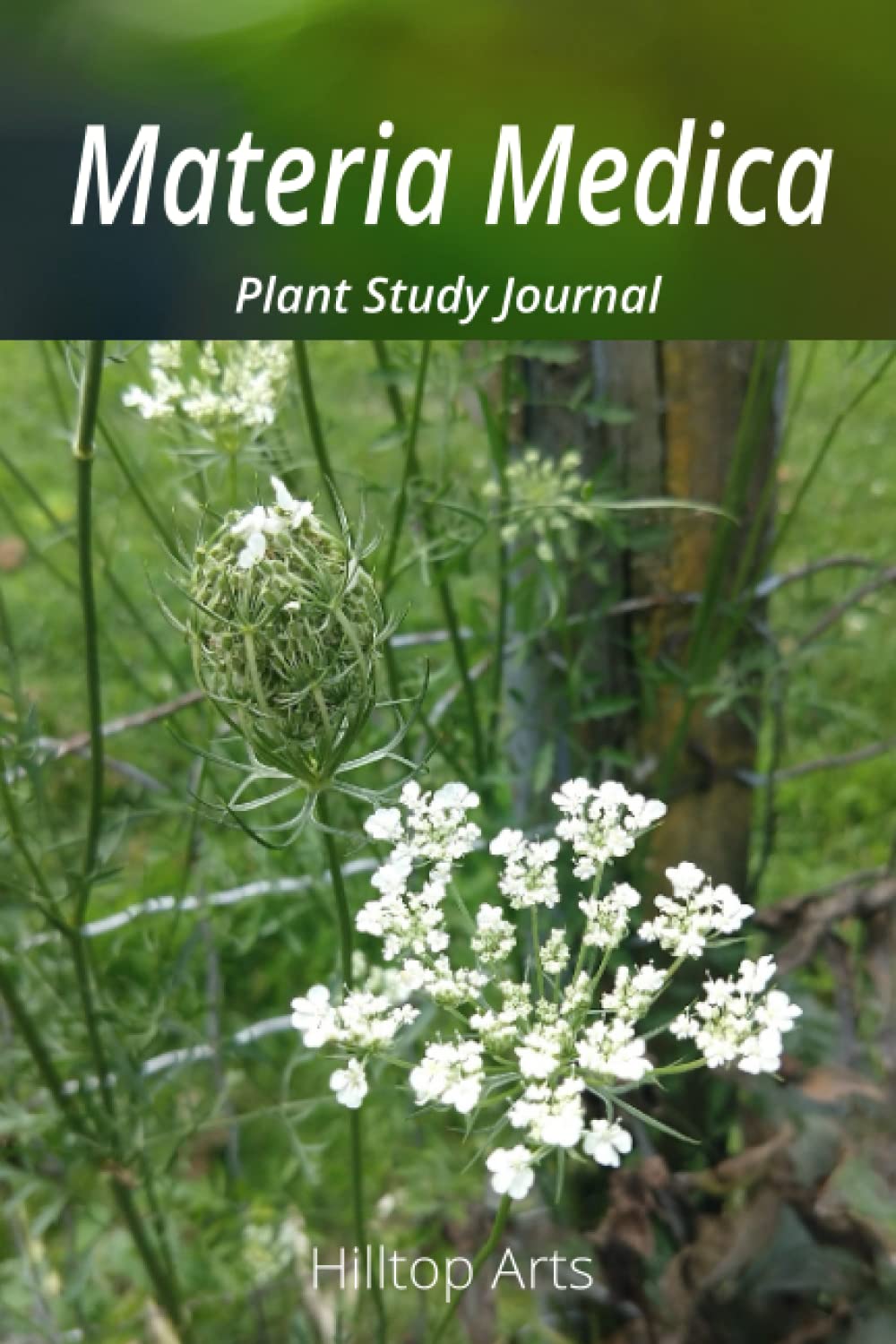 Materia Medica - Plant Study Journal
